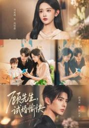 顾先生，试婚愉快